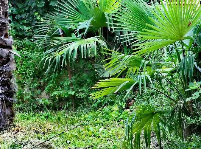 Apartament Ive Opatija