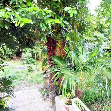 Διαμέρισμα Ive Οπατία