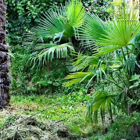 Διαμέρισμα Ive Οπατία